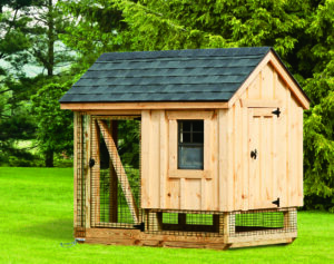 Featured image for Tips for Buying a Chicken Coop and Raising Backyard Chickens