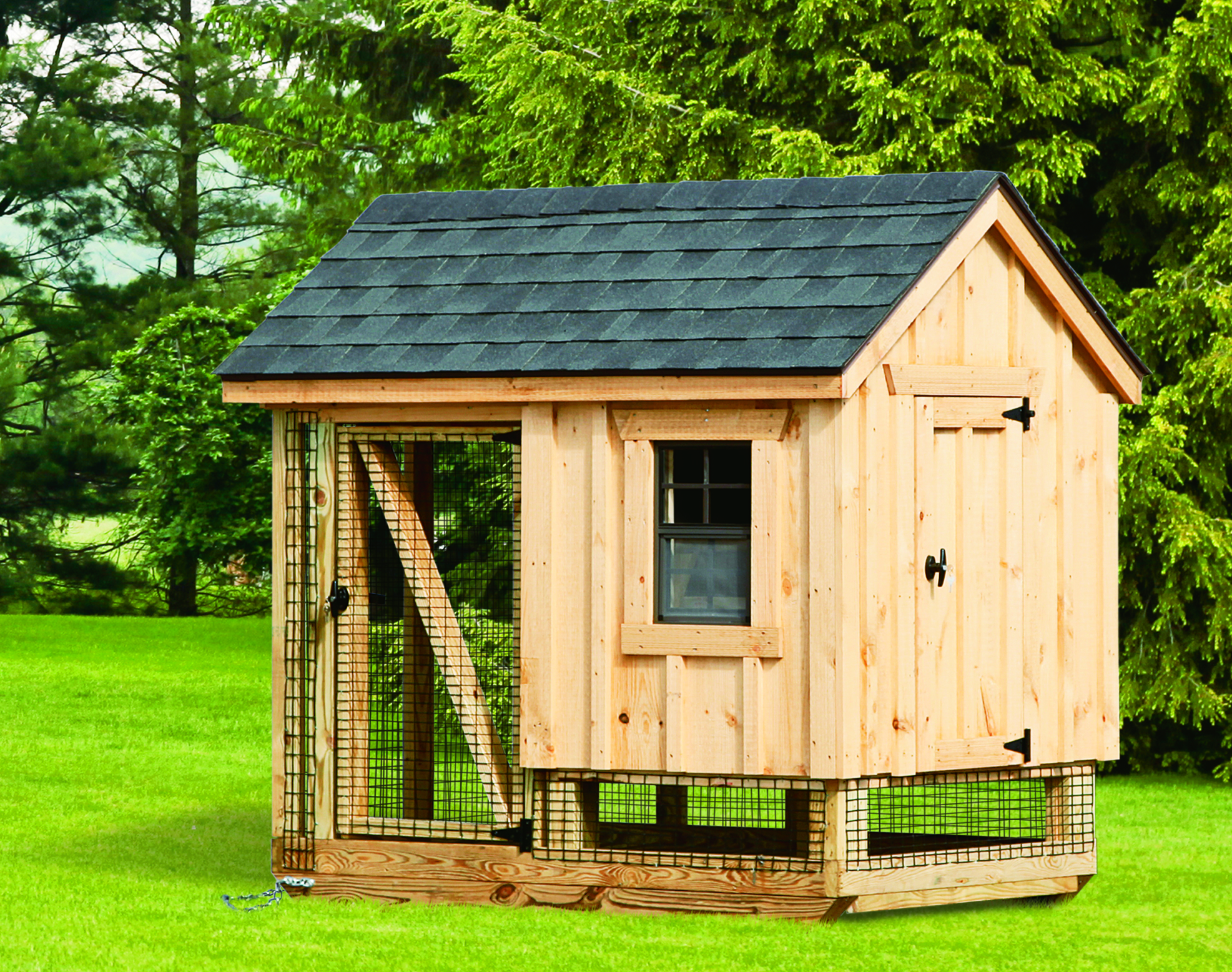 Tips for Buying a Chicken Coop and Raising Backyard Chickens