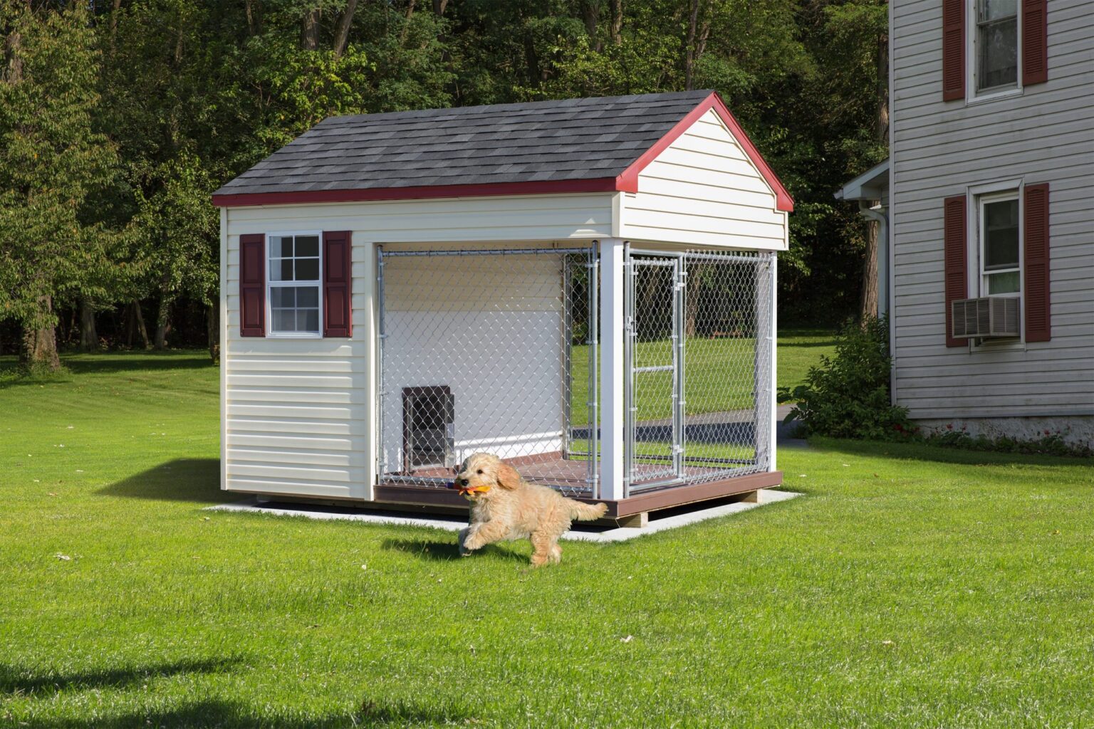 Featured image for Dog Kennels for Breeds Who Love the Outdoors