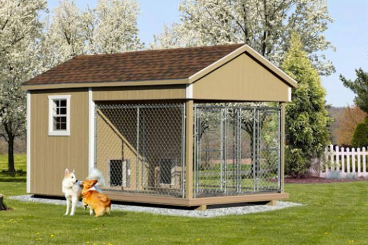 Two dogs play outside of their outdoor dog kennel.
