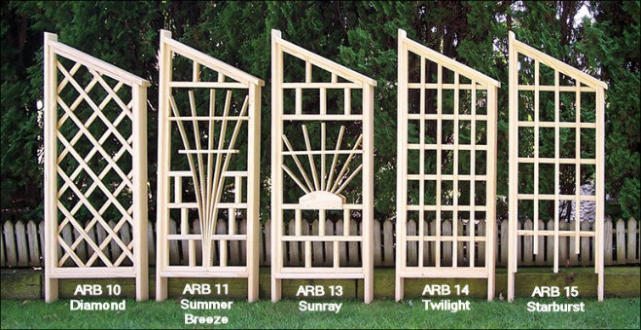 Arbor Wing Styles