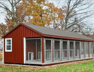 14 x 32 Traditional 8-Box Kennel
