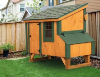 Stained wood 3'x5' Amish Lean-To Chicken Coop with window, feed box, and green trim accents nestled against fence