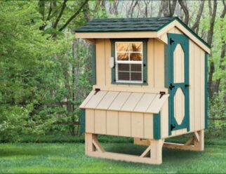 Natural wood Amish-built quaker 4'x4' chicken coop with overhang roof, window, and green accents around door