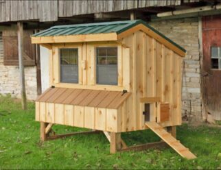 Natural wood Amish-built 4'x6' Chicken coop with metal gren overhang roof and windows