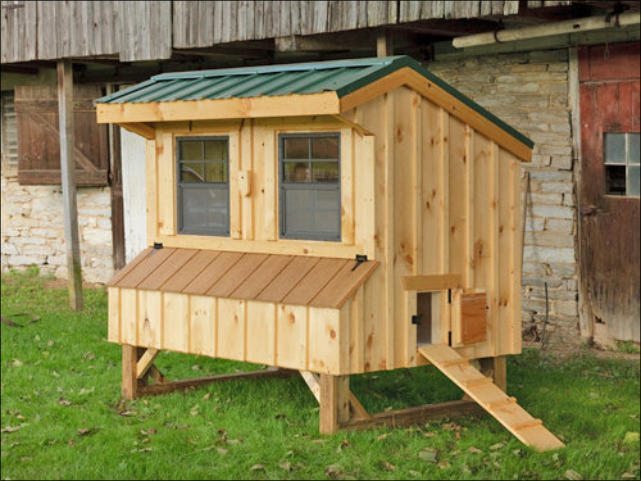Featured image for Things to Know Before Buying a Coop: Chicken Coop Buying Guide