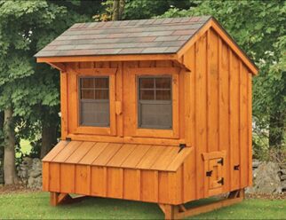 Natural wood Amish-built 4'x6' Chicken coop with brown shingles on overhang roof and two windows