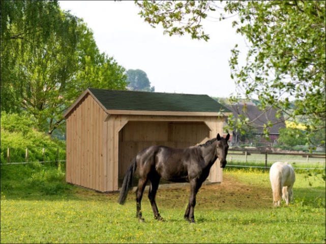Horse Barns &amp; Stables for Sale: Beautiful &amp; Functional 