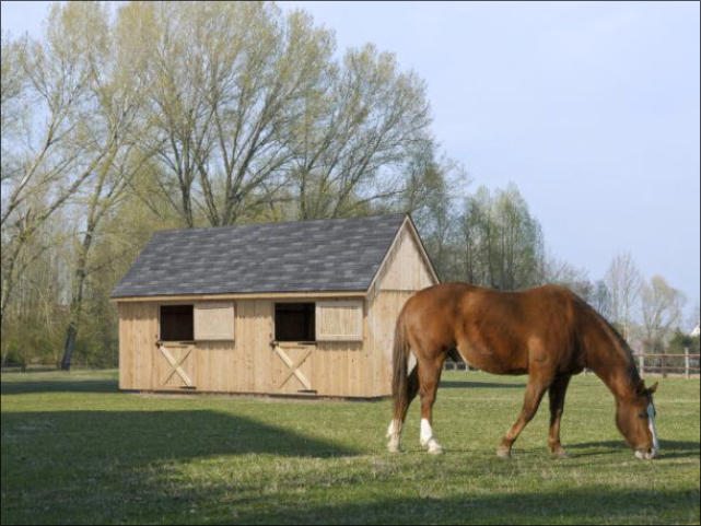 Horse Barns &amp; Stables for Sale: Beautiful &amp; Functional ...