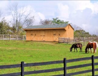 12 x 32 Shed Row Barn