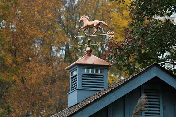 Waterford Cupola