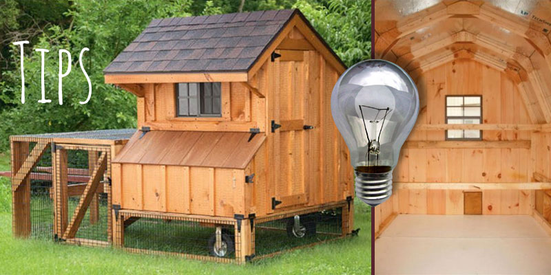 Tips For Buying A Chicken Coop Raising Chickens Penn Dutch