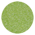 Daybreak Tropical Lime Green