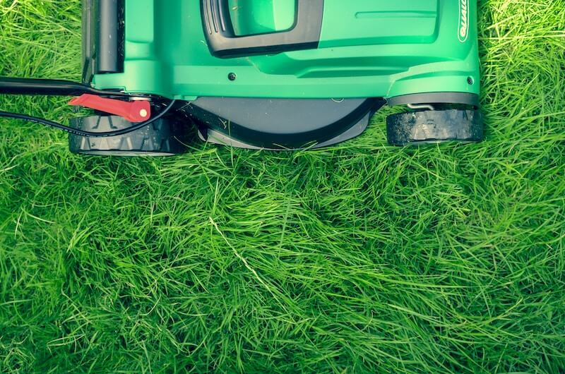 Lawn mower cutting grass