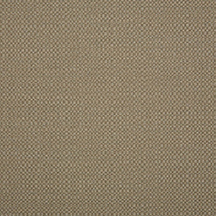Action Taupe