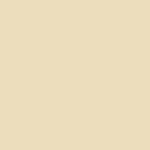 Stoltzfus Beige