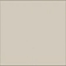 Beige color swatch