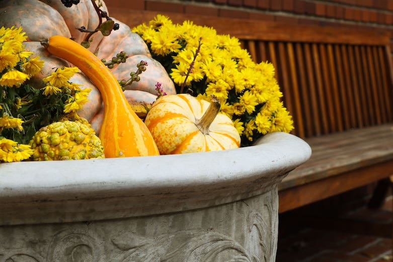 A beautiful Fall arrangement of bright yellow mums with orange and white pumpkins and squash placed throughout.