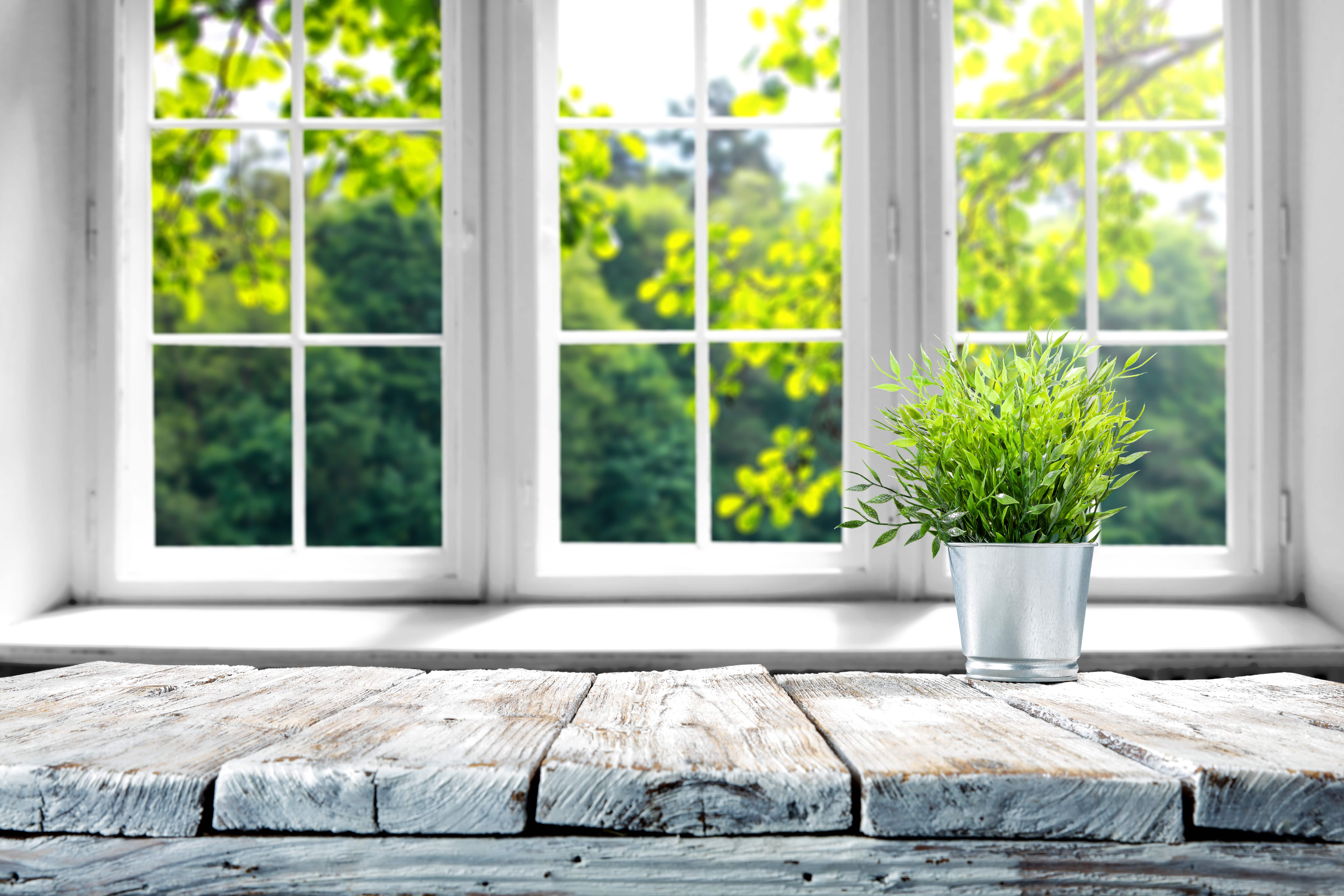 Featured image for Adding A Sunroom: What You Need To Know