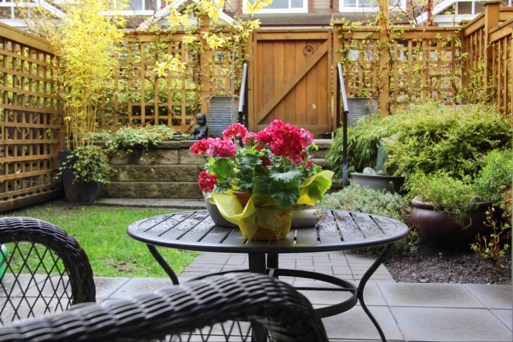 A picture of red potted flowers sitting on a table in a backyard.