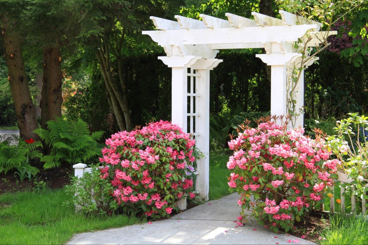 Featured image for Adding a Landscaping Arch: Garden Arbor Ideas & Tips