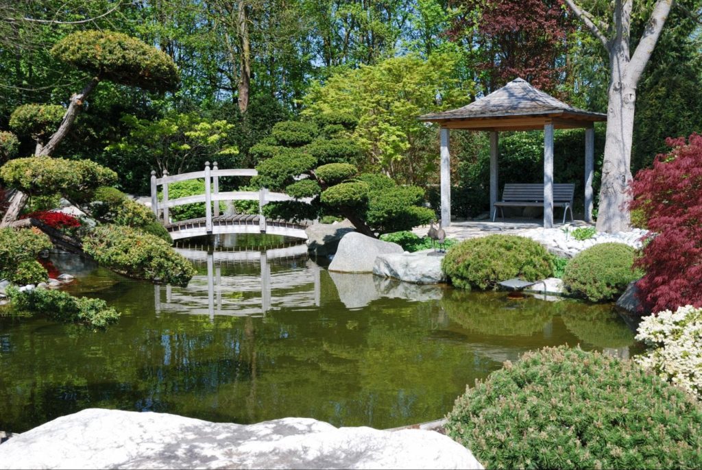 A picture of a garden arbor bridge in a Japanese style garden.