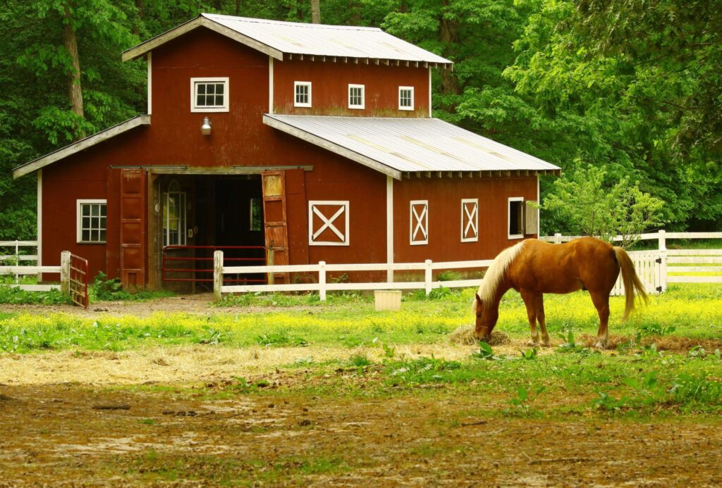 Horse barn.