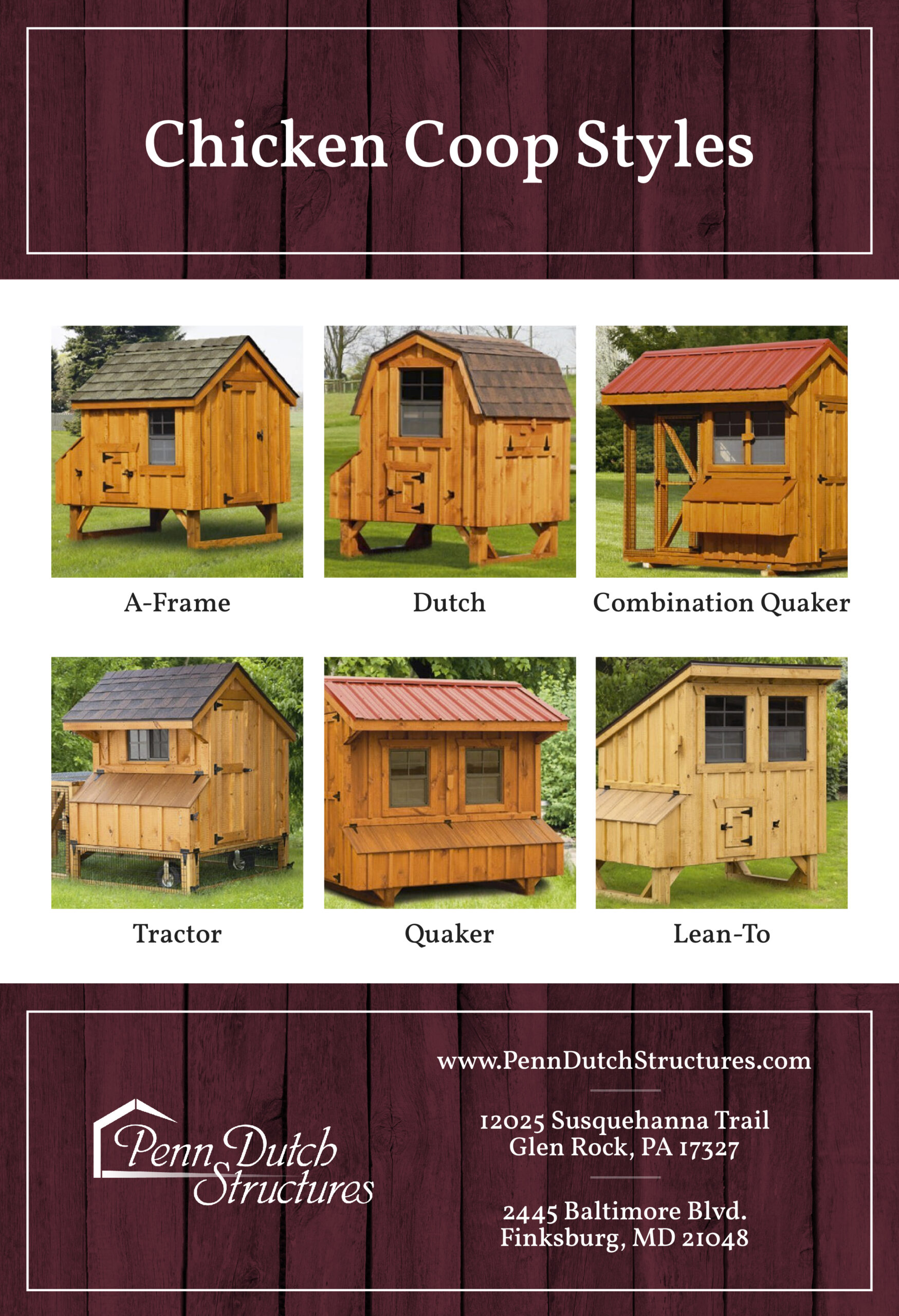 Tips For Buying A Chicken Coop & Raising Chickens Penn Dutch