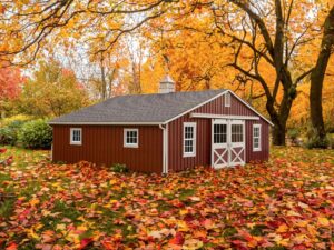 Featured image for How to Maximize Your Horse Barn Maintenance