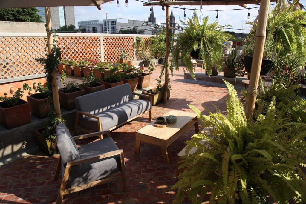 underneath a pergola, a small lounge area with lots of hanging plants, string lights, and greenery. 