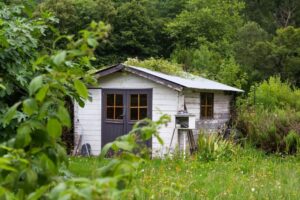 Featured image for 6 Signs it’s Time to Replace Your Old Shed ASAP