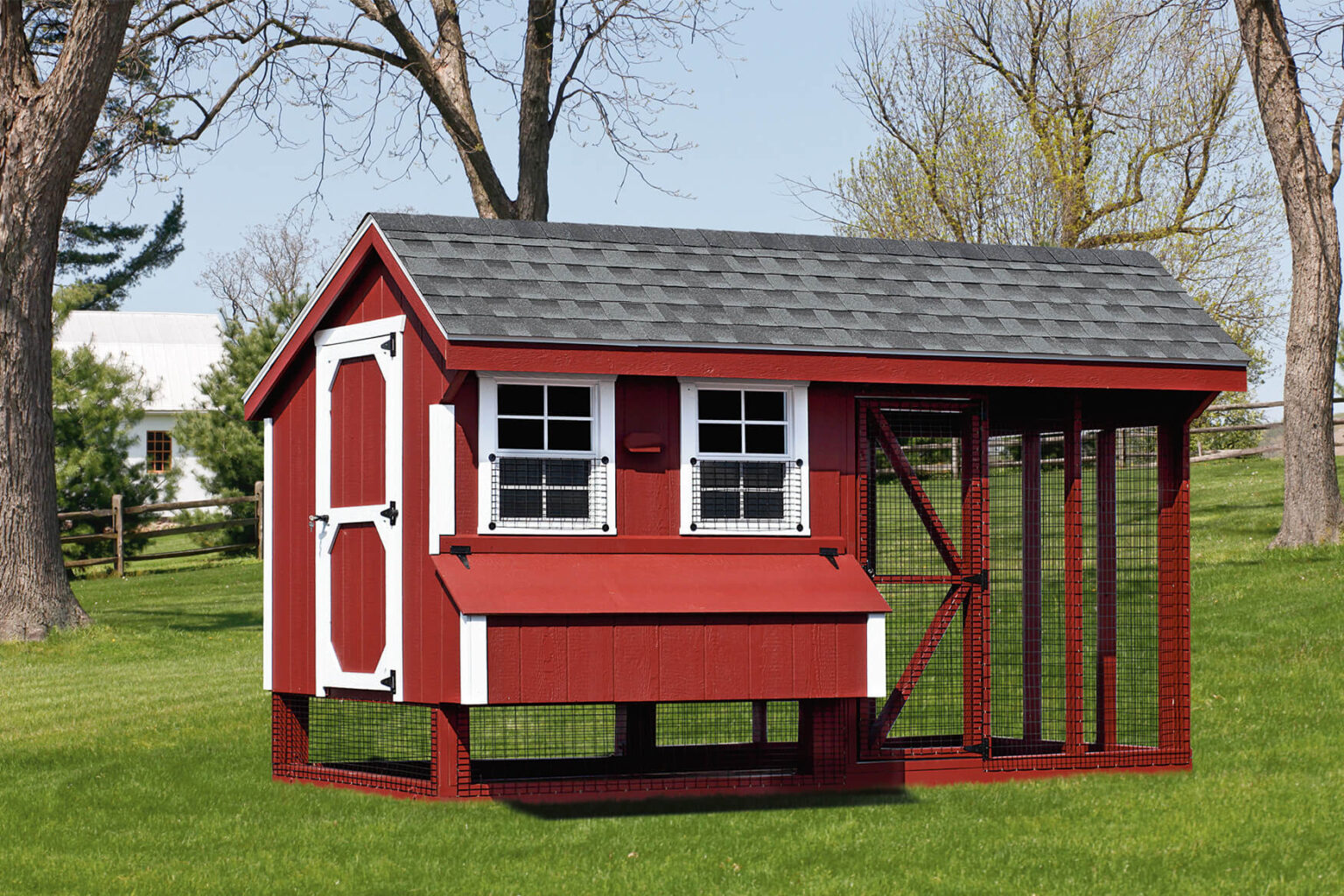 Featured image for Think Outside The Coop: Chicken Coop Ideas & Buying Guide