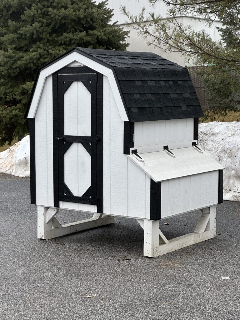 in-stock 4x4 dutch chicken coop