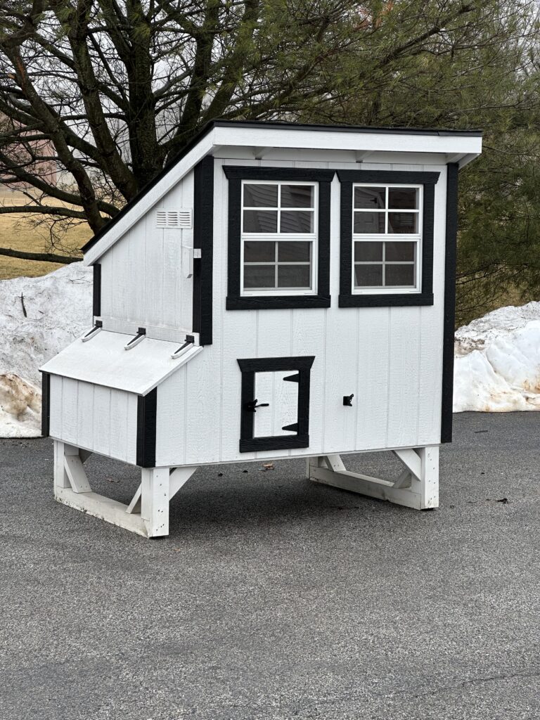 in-stock white and black lean to chicken coop