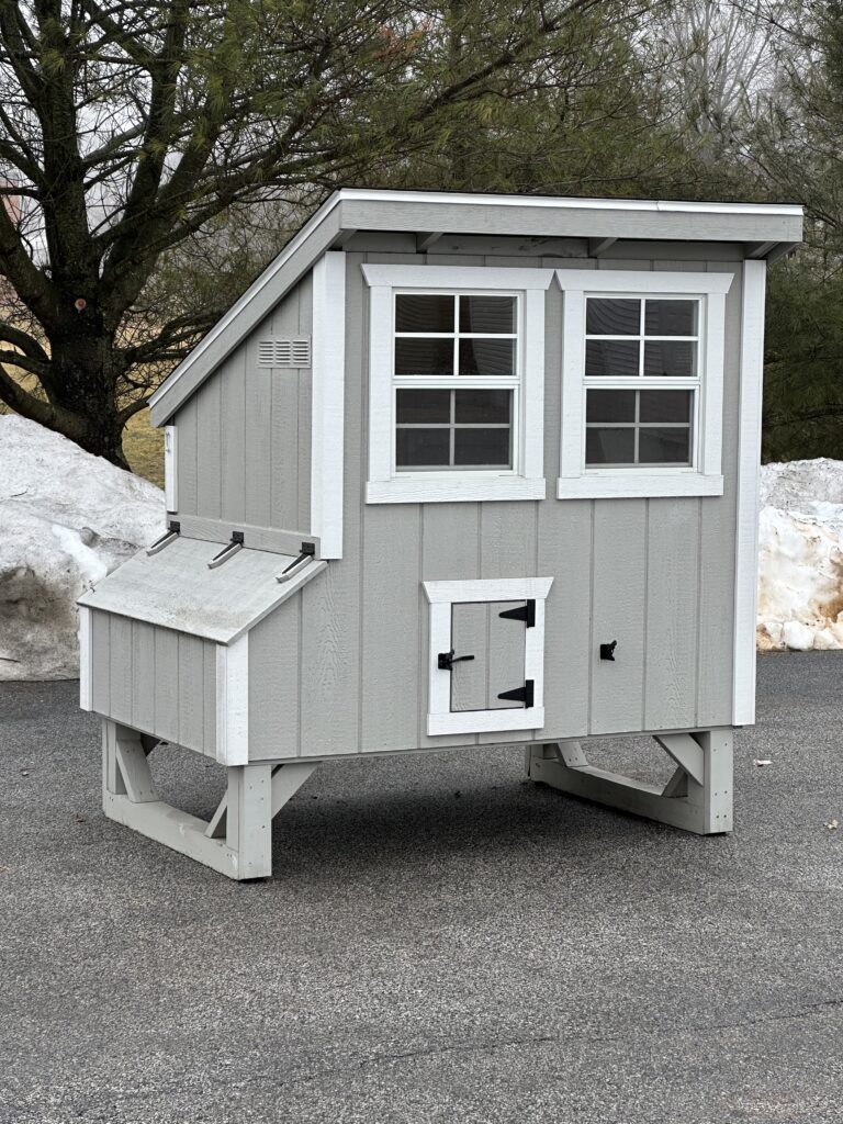 in-stock 4x5 lean to chicken coop