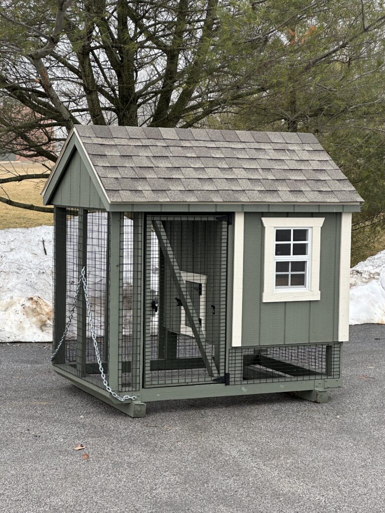 in-stock 4x6 a-frame combo green and white chicken coop