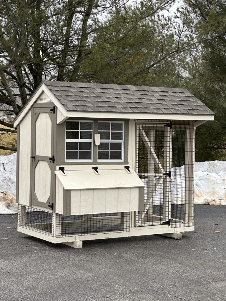 in-stock 4x8 quaker combo chicken coop