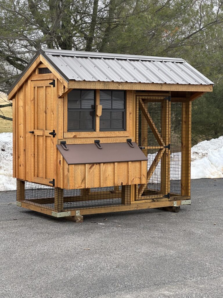 in-stock 4x8 quaker combo chicken coop