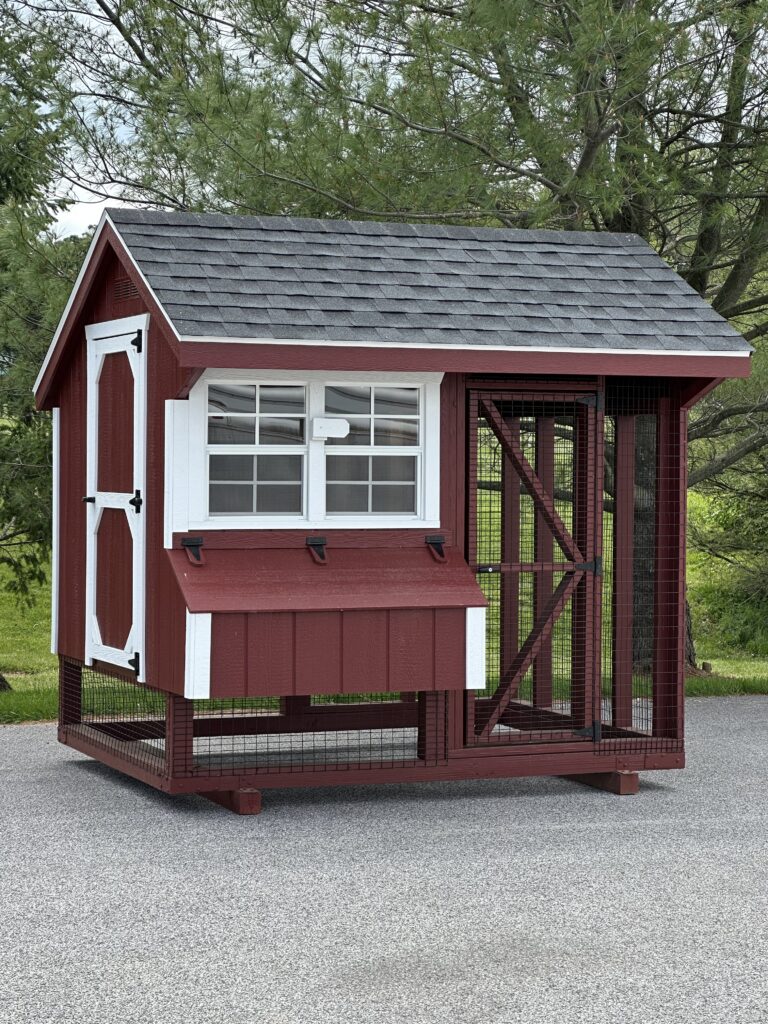 in-stock 6x8 combo chicken coop